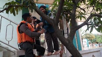 Korps Brimob Polri Kerahkan Ratusan Personel Bantu Korban Banjir di Jabodetabek