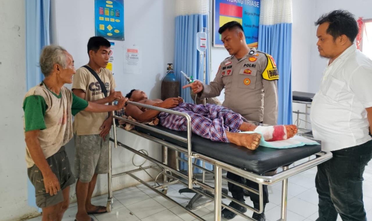 Seorang Warga Indragiri Hulu Riau Terluka Akibat Serangan Dua Ekor Harimau Sumatera